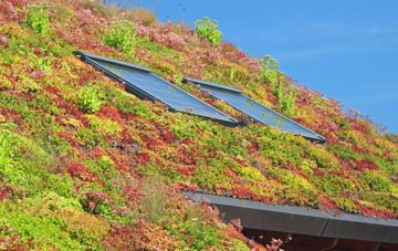 Ashfield Green living roof systems