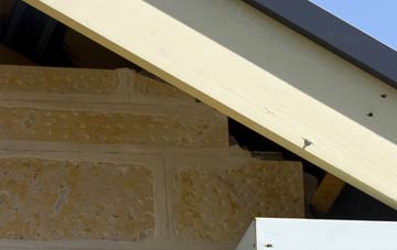 soffit repair Ashfield Green