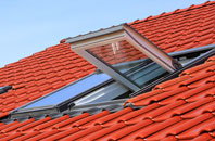 Ashfield Green roof window